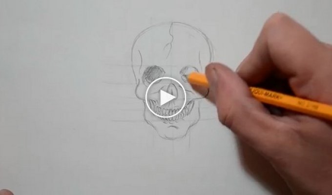 Как нарисовать человеческий череп карандашом