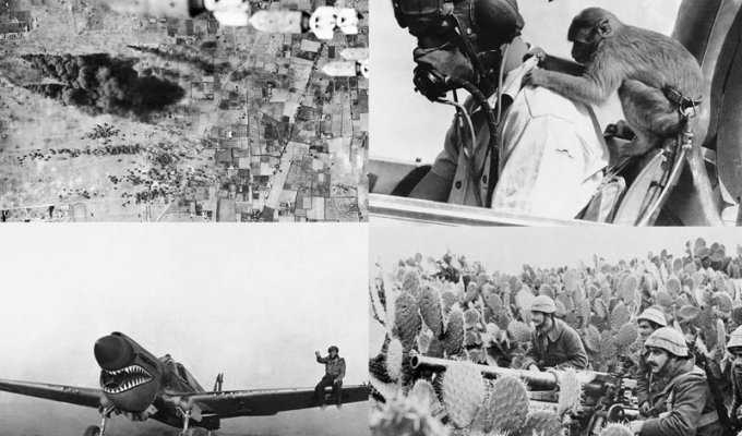 Вторая мировая война: Северо-Африканская кампания (Часть 12) (45 фото)