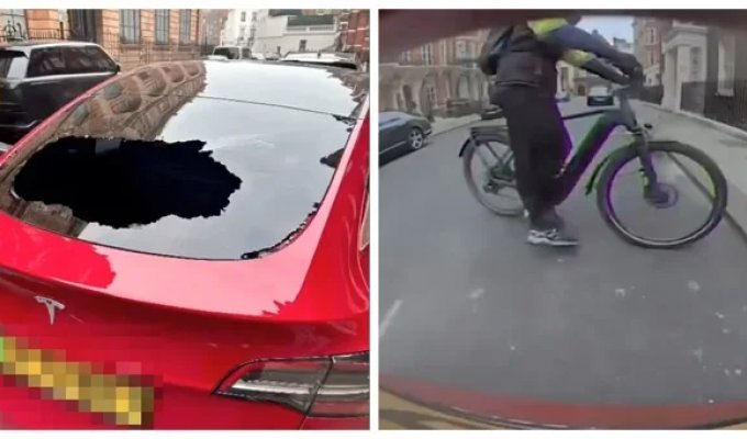 A Briton smashed the rear window of a Tesla, noticing a bag from a department store (4 photos + 2 videos)