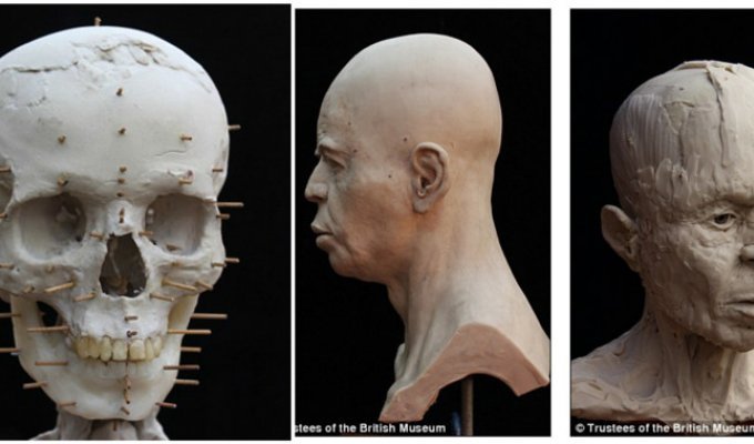 Восставший из мертвых: археологи воссоздали голову древнего человека в гипсе (8 фото + 1 видео)