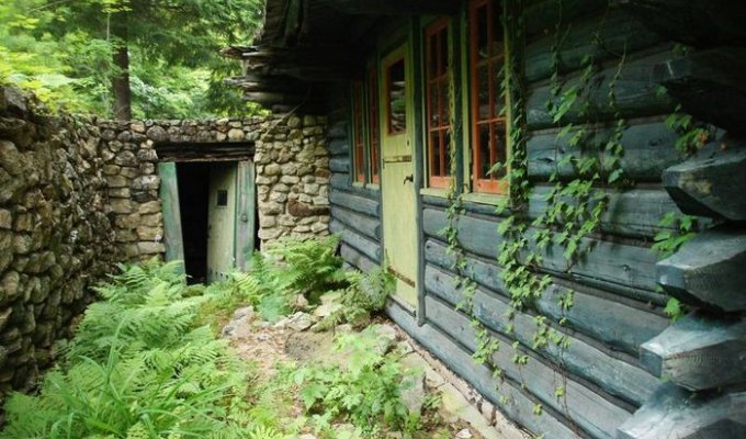 Необычный заброшенный дом в лесу (46 фото)