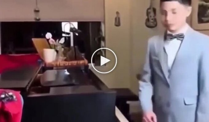 A cat stars in a music video