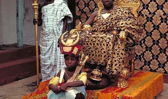 Короли Африки (17 фотографий)