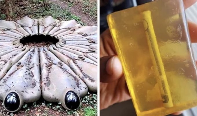 Вещи, которые люди нашли случайно (21 фото)