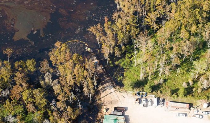 Необычное природное бедствие в штате Луизиана (7 фото)