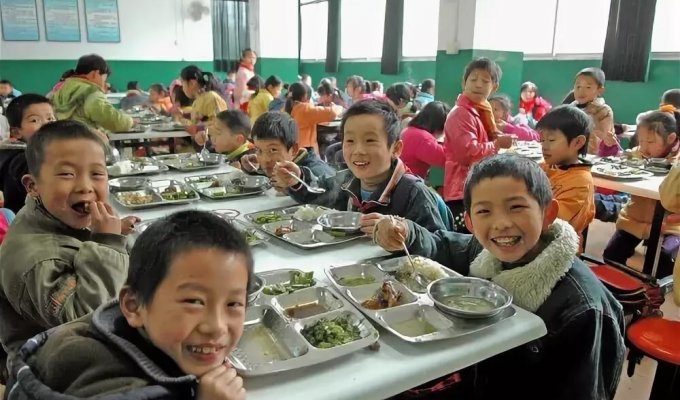 Чим годують дітей у китайських та японських школах (16 фото)
