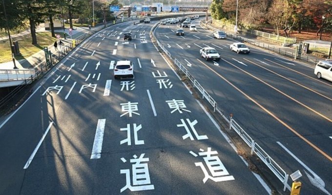 У Японії водіям дають алкоголь, щоб відучити від п'яної їзди (4 фото)