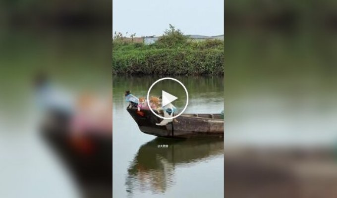 Необычная рыболовная команда