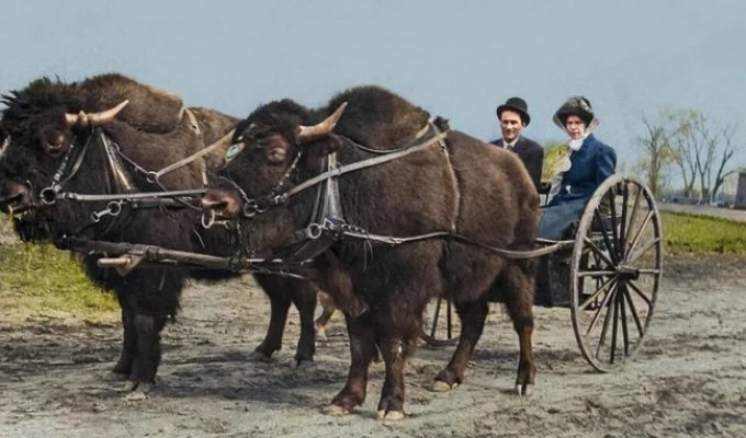 Унікальні історичні кадри, які перенесуть вас у минуле (21 фото)