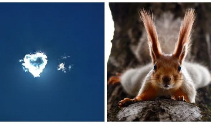20 фотографий, которые заменят тысячи слов (21 фото)