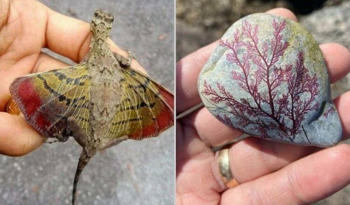 14 times when Mother Nature presented a person with an extraordinary surprise (15 photos)