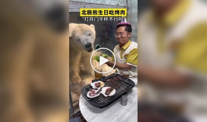 День рождения белого медведя