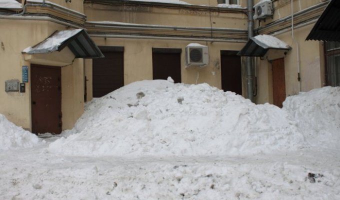 Снег в Питере (5 фотографий)