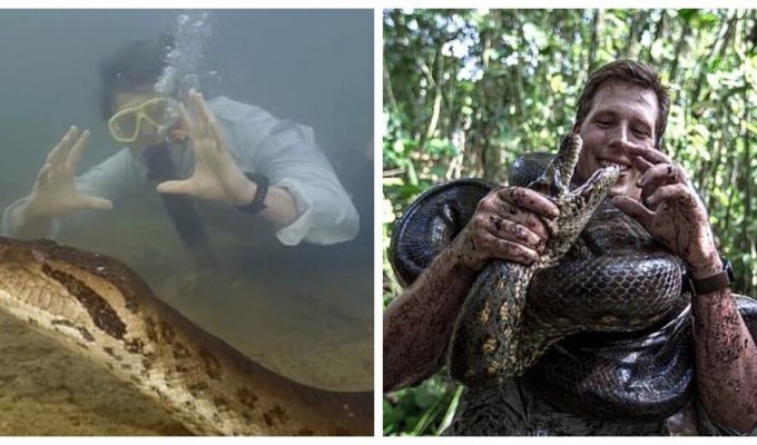 У тропічних лісах Амазонки виявлено найбільшу у світі змію (7 фото + 1 відео)