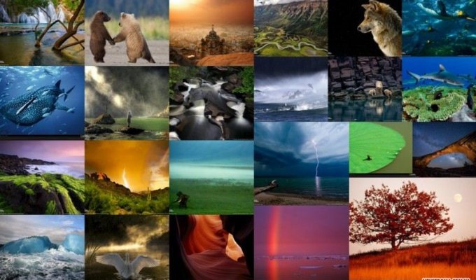 National Geographic's Best Wallpapers of 2009