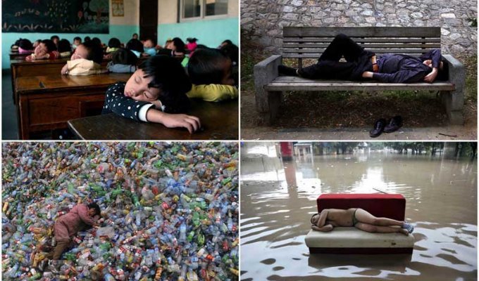 Спящие красавицы и красавцы из Китая (30 фото)