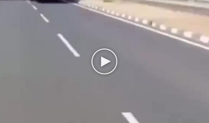 Типичный случай на дороге в Индии