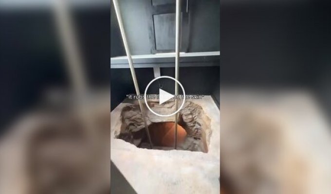 Потайное мужское логово под домом