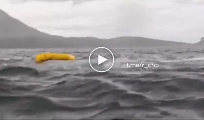 A humpback whale swallowed a young man along with a boat, and then spat him out