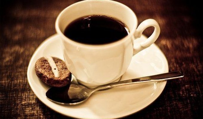 77 фактов о кофе (3 фотографии)