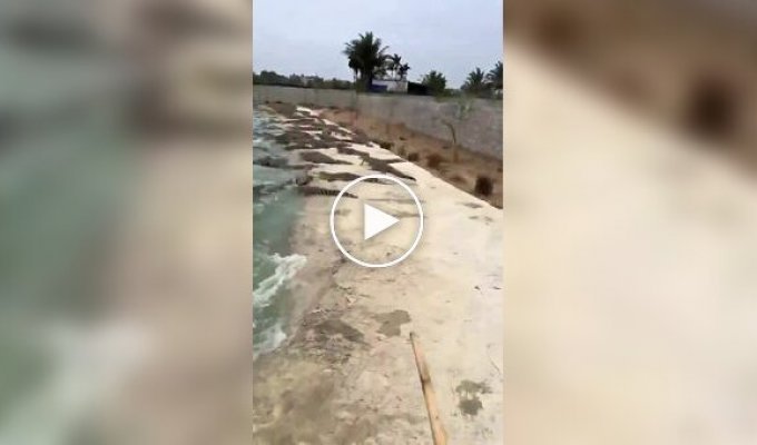 Работа для людей со стальными нервами