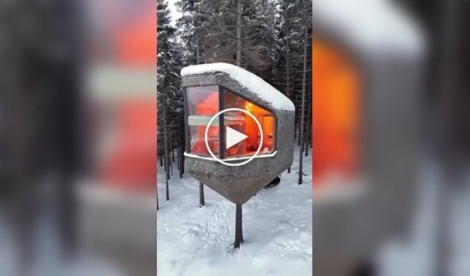 Норвежский отель для любителей домов на деревьях