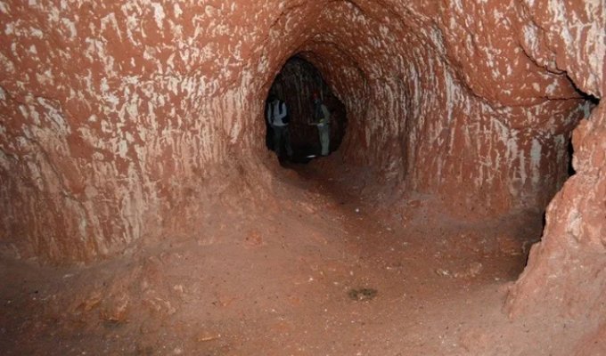 Дело рук гигантских животных: что за чудовища создали древние пещеры Южной Америки (8 фото)