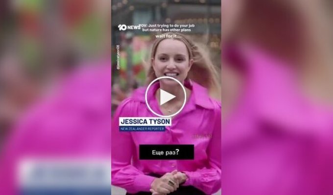 Чайка влетела в журналистку в прямом эфире