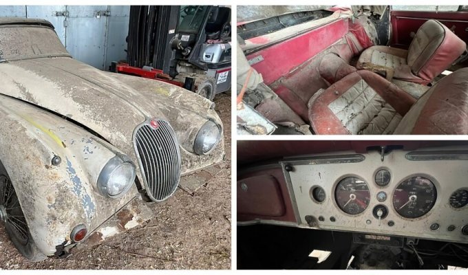 A 1958 Jaguar was found in an English farmer's chicken coop (16 photos)