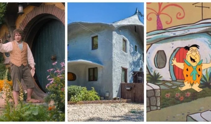 Грибной дом Бетезды, разбавивший скучную архитектуру чопорного пригорода (19 фото)