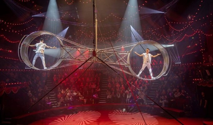 The acrobat fell from a height of five meters during the "Wheel of Death" act (5 photos)