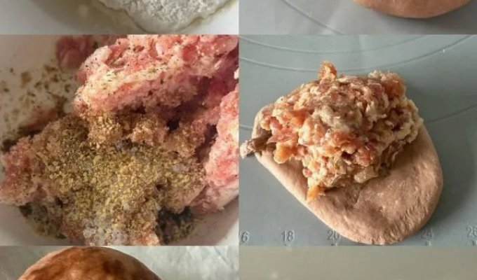 Пельмени в виде жирненьких чихуахуа (5 фото)
