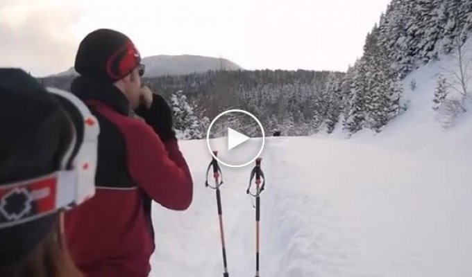 Лось пробегая мимо канадских лыжников