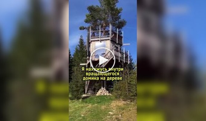 Вращающийся домик на дереве посреди леса