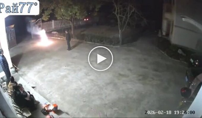 Собака неприятно удивила жителей китайского города