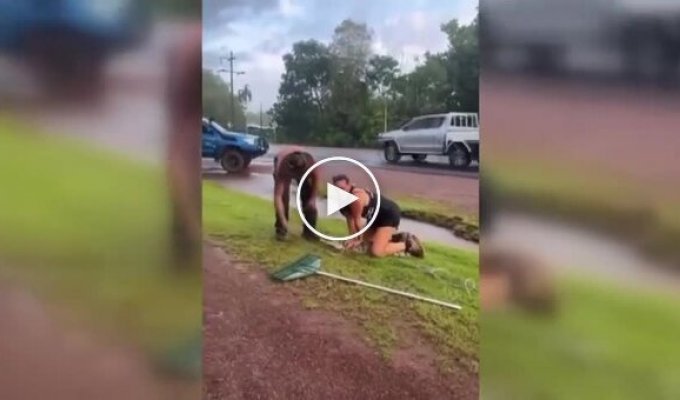 Австралийка помогла поймать крокодила