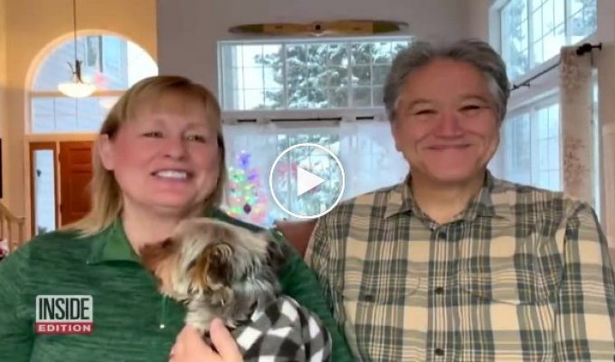 Жінка врятувала свого собаку від лося за допомоги суворого голосу