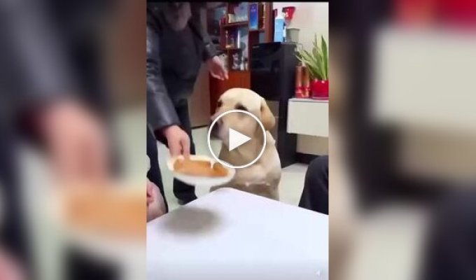 В большой семье: кто быстрее съест кусочек