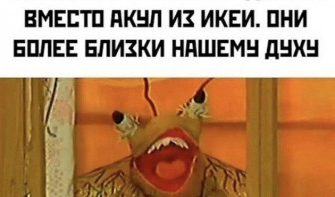 Лучшие шутки и мемы из Сети. Выпуск 391