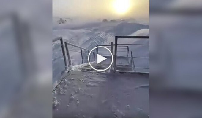 Совсем другой мир: полярник показал, как выглядит погода в -62 в Антарктиде