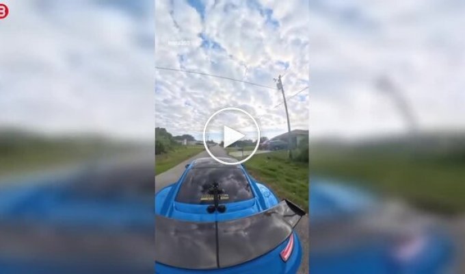 Сварка на дорозі у Флориді закінчилася погрозами зі зброєю