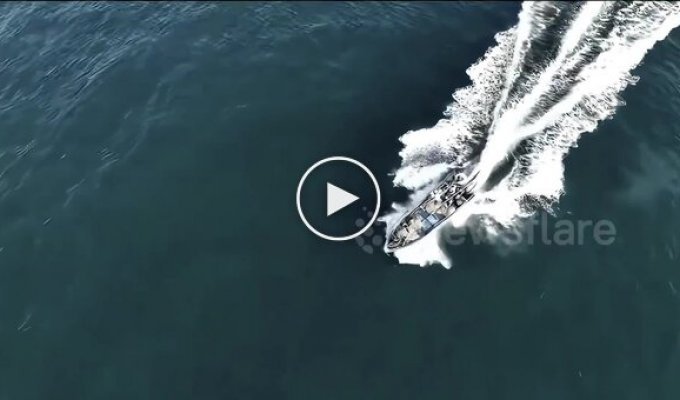 Рыбаки врезались в кита