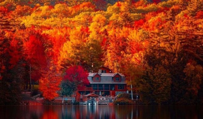 A selection of photos of golden autumn (28 photos + video)