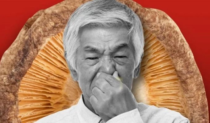 Эксперт назвал продукт, избавляющий от старческого запаха (5 фото)