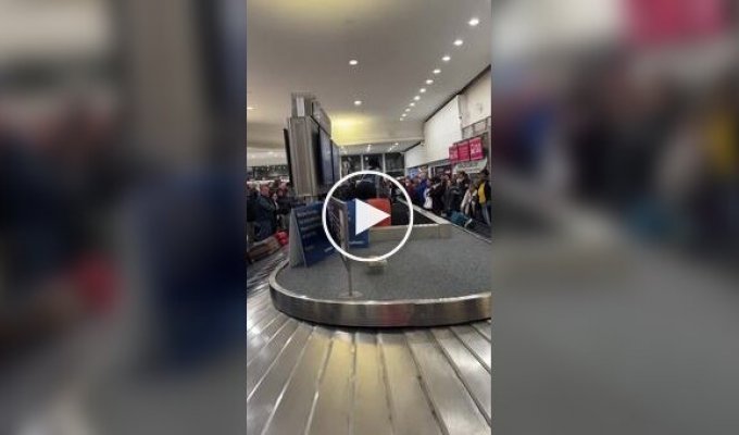 An airport employee had to unload the luggage herself because the belt broke