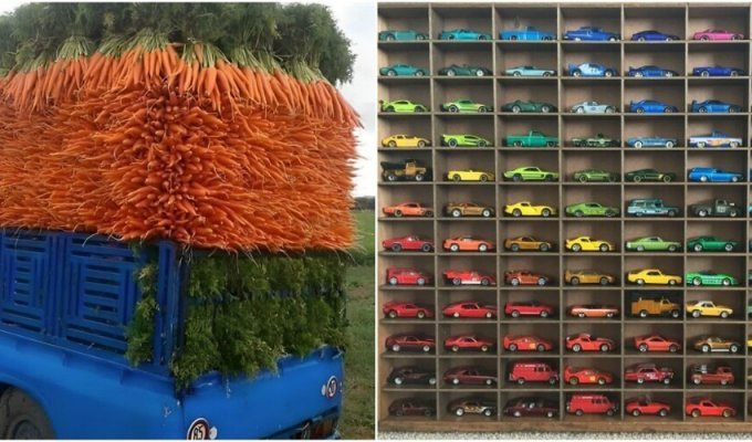 30 examples of perfectly organized things (31 photos)