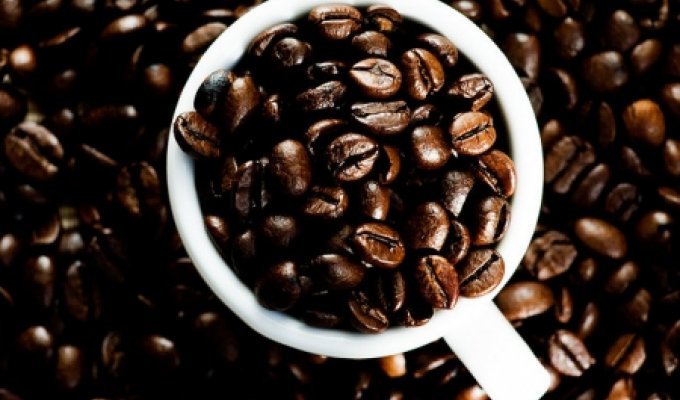 Почему полезно пить кофе