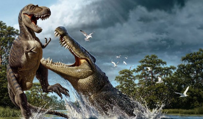 Sarcosuchus imperator - пожиратель динозавров (3 фото)
