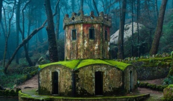 The beauty of abandoned places (19 photos)