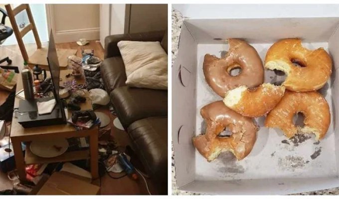 I Live with a Monster! — 35 photos of chaos from the kings of disorder (36 photos)